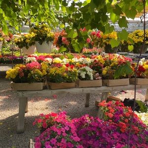 Meet your Posher, Reta